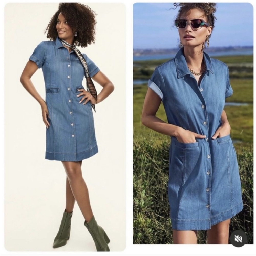 Cabi Denim Button-Down Dress